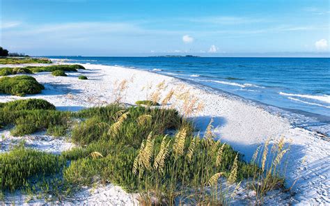 Fort De Soto Park Beach Florida USA World Beach Guide