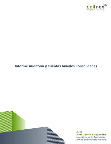 Informe De Auditoria Y Cuentas Anuales