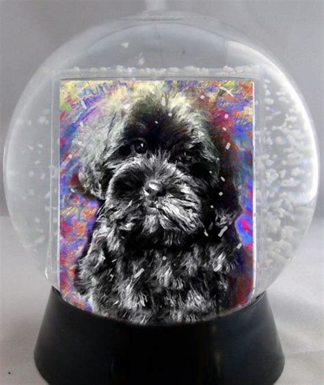 See more ideas about poodle dog, poodle, poodle mix. Goldendoodle Labradoodle Doodle Poodle Dog Art by ...