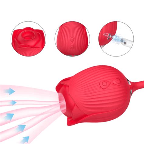 Rose Clit Pump Sucking Vibrator G Spot Thrusting Dildo Adult Sex Toy
