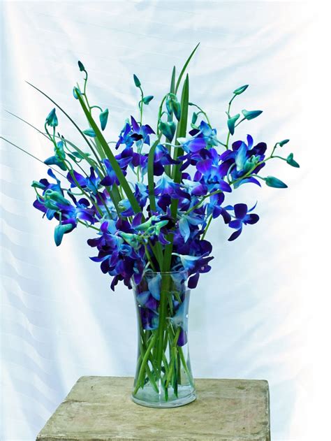 Beautiful Blue Orchids By Crossroads Florist