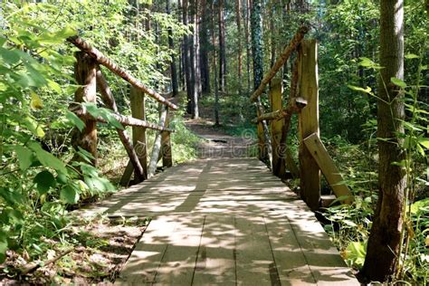 Wooden Simple Bridge In The Forest On A Hiking Trail Stock Image