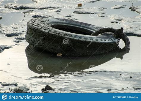 Car Tire Pollution At Coastal Stock Image Image Of Contamination