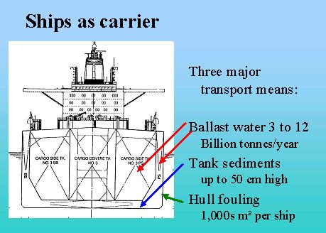 Maybe you would like to learn more about one of these? Cross section of ship showing ballast tanks. Courtesy ...