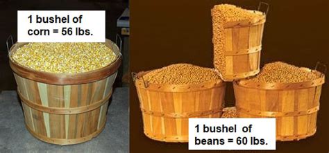 What Makes A Bushel