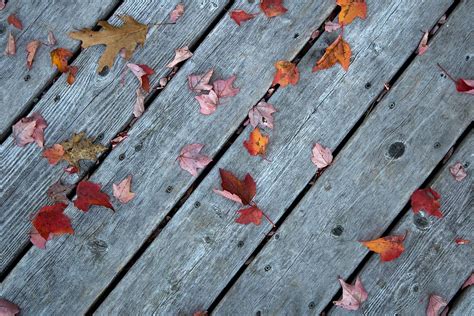 Fall Leaves Wood Boards Woodgrain Foliage Autumn Nature