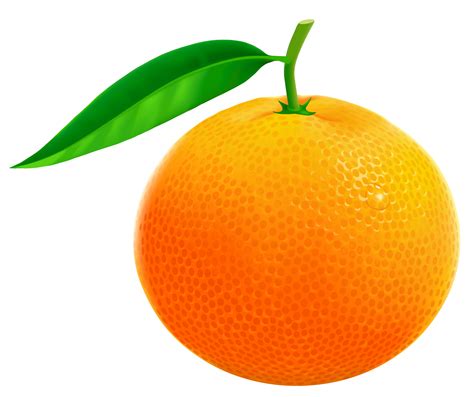 Orange Fruit Png Hd Orange Slice Png Clip Art Best Web Clipart