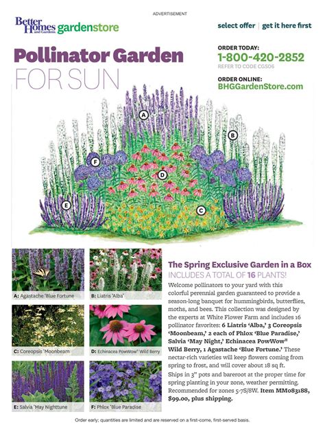 26 Pollinator Garden Plans Ideas To Try This Year Sharonsable