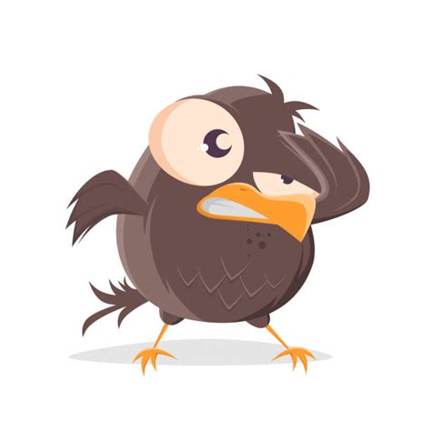 Drawing Of A Ugly Birds Illustrations Royalty Free Vector Graphics