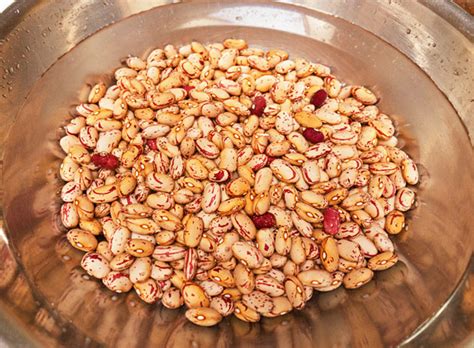 They're also known as roman beans or borlotti beans. Cranberry Beans - A Healthy Protein | MJ's Kitchen