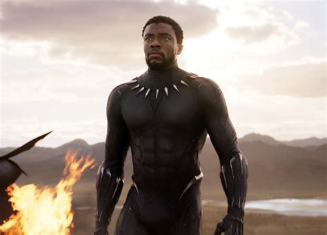 What Avengers Endgame Means For Black Panther Def Pen