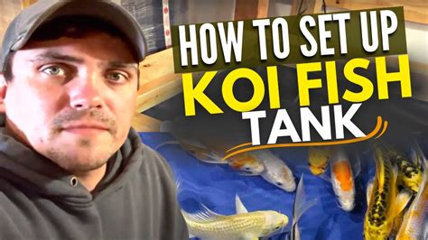 How To Set Up A Retail Koi Fish Tank Koi Fish Store River Rock