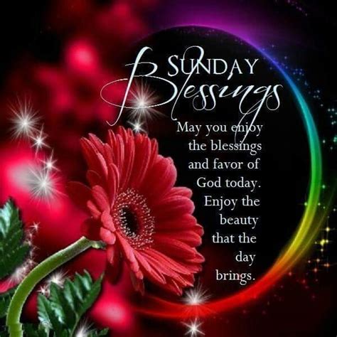 Sunday Blessings Have A Blessed Sunday Happy Sunday Quotes Sunday
