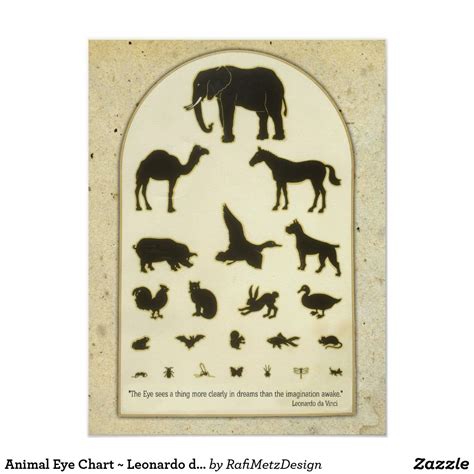 Animal Eye Chart ~ Leonardo Da Vinci Quote Zazzle Leonardo Da Vinci
