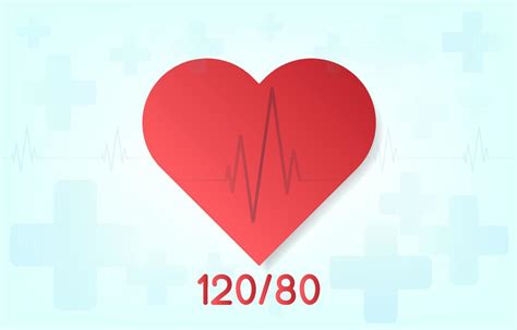 Heart Rate Heart Check Healthcare Services Heart Medical Check Up
