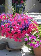 Photos of Flower Container Ideas