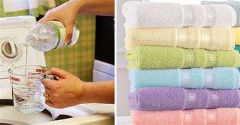 Jabón y suavizante casero deja tu ropa limpia y olorosa Antialérgico