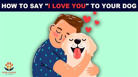 10 Methods To Show Your Dog You Love Him Youtube