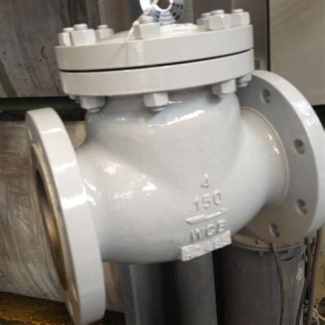 Astm A Wcb Swing Check Valve Inch Lb Api Vervo