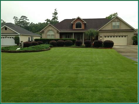 New sod should be watered immediately to make sure it thrives. empire-zoysia sod is wonderfulSuperior Sod | Mulch and sod ...