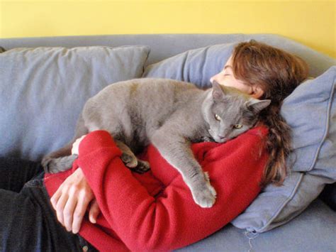 18 Hugging Cats Is The Cutest Thing You Will See All Day