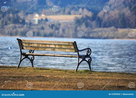Park Bench At Lake Stock Photo Image Of Metal Horizontal 4789500