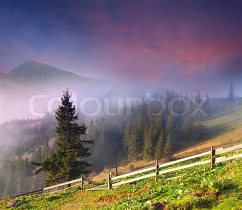 Beautiful Spring Landscape In The Stock Photo Colourbox