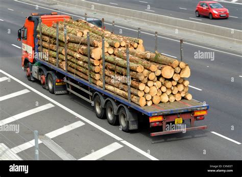 Articulated Lorry On Motorway Loaded With Cut Lengths Of Tree Trunks