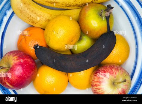 A Bowl Of Fruit In A House With Oranges Pears Apples Bananas Adn