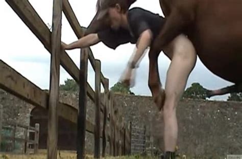 Man Loves Fucking A Horse With His Dick In A Special