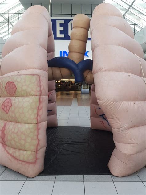 Mega Lungs Draw Media To Irish Cancer Society Campaign Global Lung