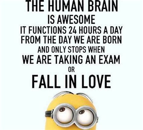 Funny Minion Love Quote Pictures Photos And Images For Facebook