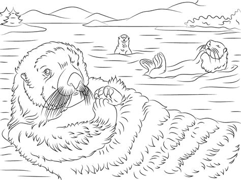 Top 20 Printable Otter Coloring Pages Online Coloring Pages