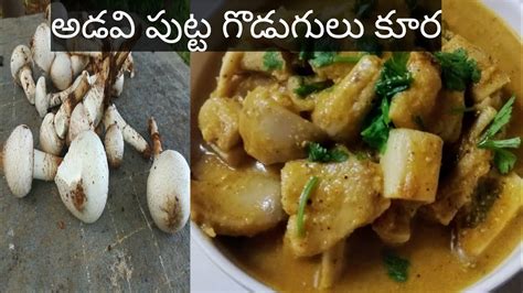 Mushroom Curry Recipe In Telugu అడవి పుట్ట గొడుగుల కూర ఇలా చేస్తే 👌