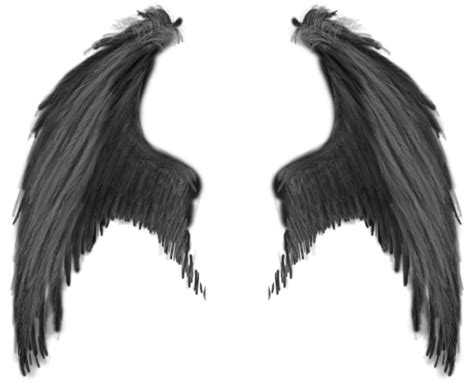 Download Realistic Demon Wings Png Png Image With No Background