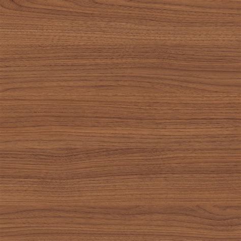 Walnut Texture