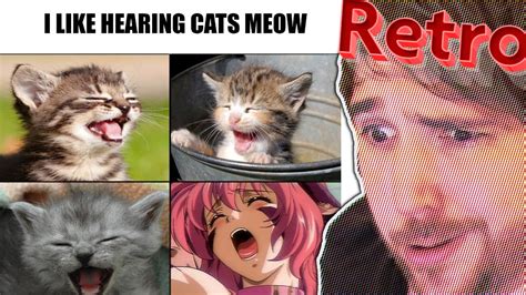 Funny Retro Anime Memes Thats An Odd Cat Edition Youtube