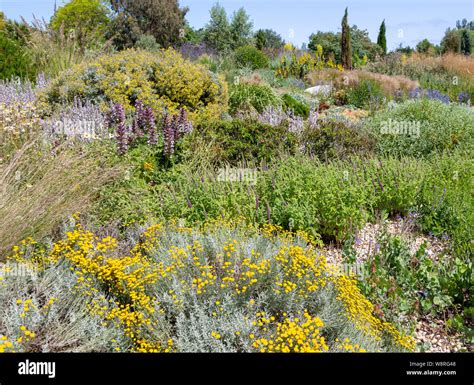 Royal Horticultural Society Gardens At Hyde Hall Essex England UK Dry Garden Stock Photo Alamy
