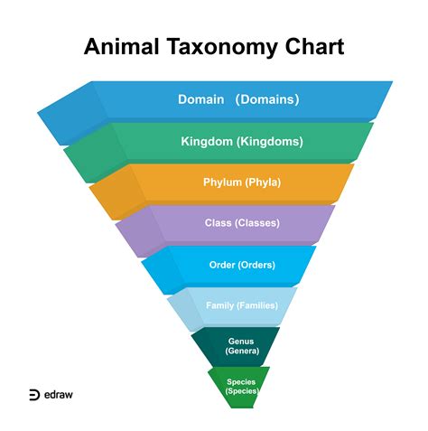 Taxonomic Classification Chart