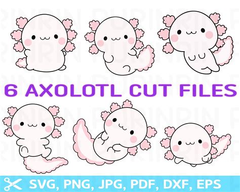 Kawaii Axolotl Svg Uparupa Svg Korean Stickerpng Dxf Etsy Cute