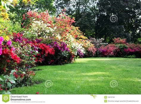 With breathtaking views over the yarra valley, the garden features important collections of rhododendrons, azaleas, camellias and more, in a setting of native and exotic trees. Schöner Blühender Rhododendron Im Garten Stockbild - Bild ...