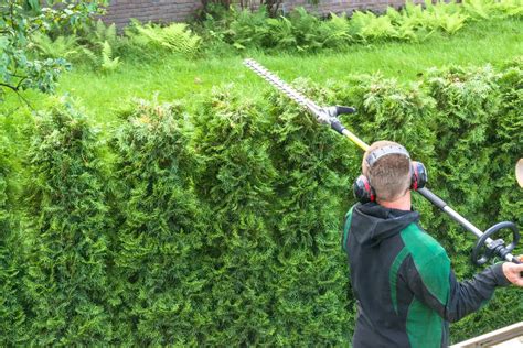 Best Long Reach Hedge Trimmers Of 2022 Home And Style