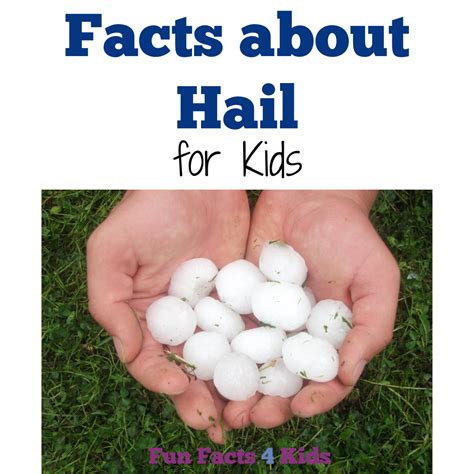 Amazing Hail Facts For Kids Fun Facts 4 Kids