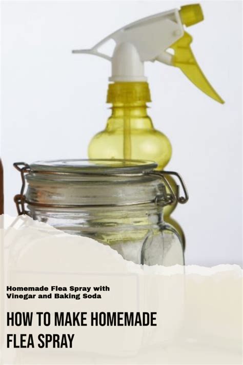 Homemade Flea Spray With Vinegar And Baking Soda Nondon