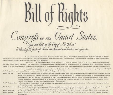 We Clearly Cannot Expect The Bill Of Rights To Be Defended By