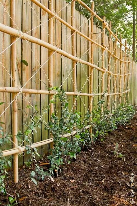 Diy Bamboo Trellis From The Garden Pinterest
