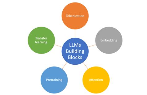 Large Language Models LLMs Types Examples