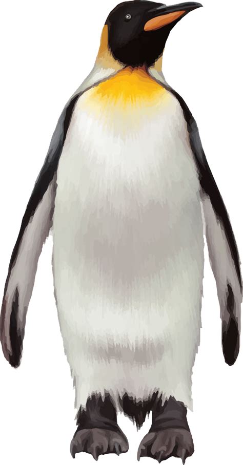 Penguin Png Transparent Images Pictures Photos Png Arts