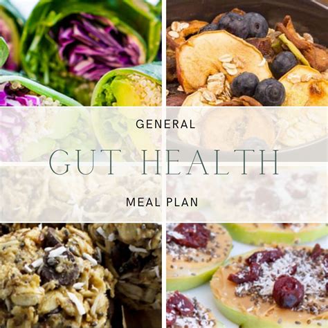 Two Week General Gut Health Meal Plan Etsy
