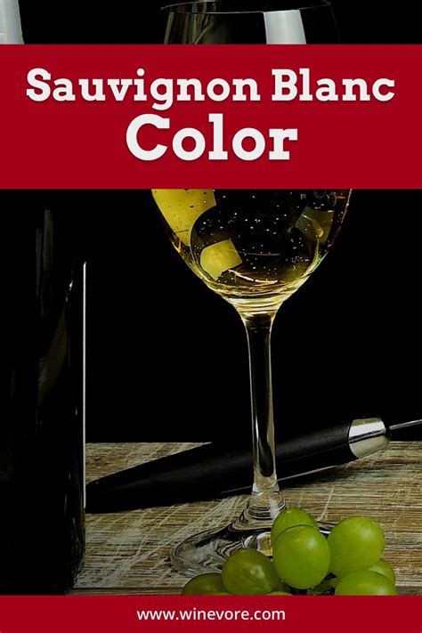 Sauvignon Blanc Color Winevore